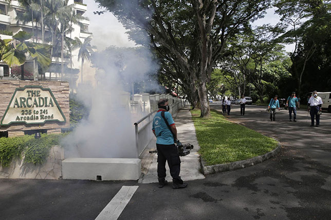 На улицах и в парках Сингапура интесивно распыляются инсектициды, фото Todayonline