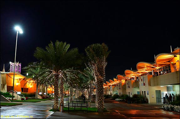Ночной паддок в Бахрейне