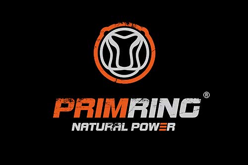 Логотип Primring