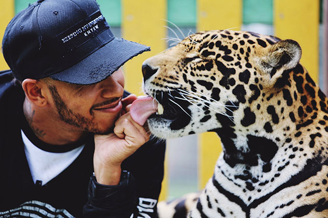 Льюис Хэмилтон общается с хищным зверем в мексиканском фонде Black Jaguar - White Tiger