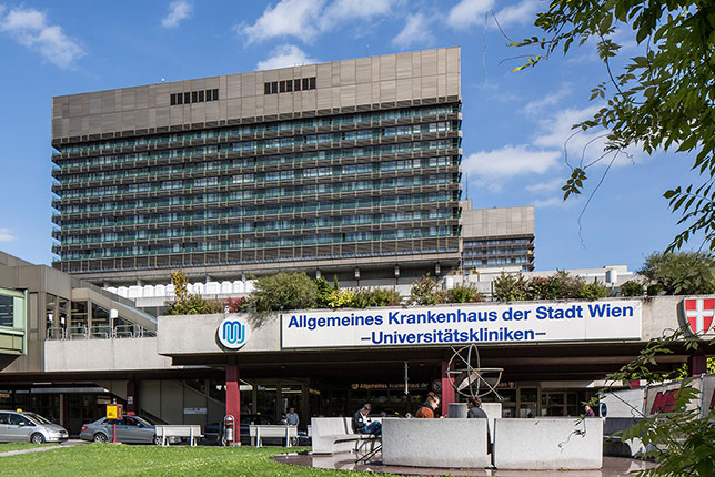 Главный госпиталь столицы Австрии