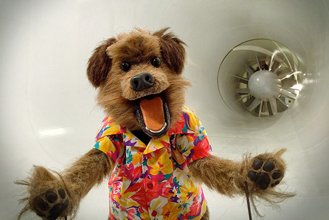 Собачка Хакер, персонаж учебной программы BBC Terrific Scientific в аэродинамической трубе McLaren