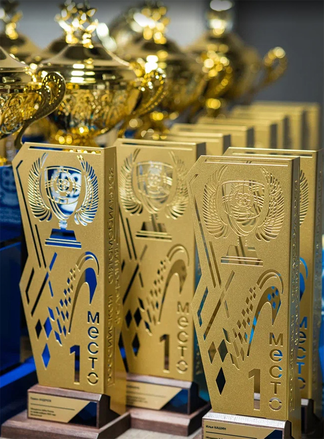 В Москве состоялось награждение чемпионов РАФ