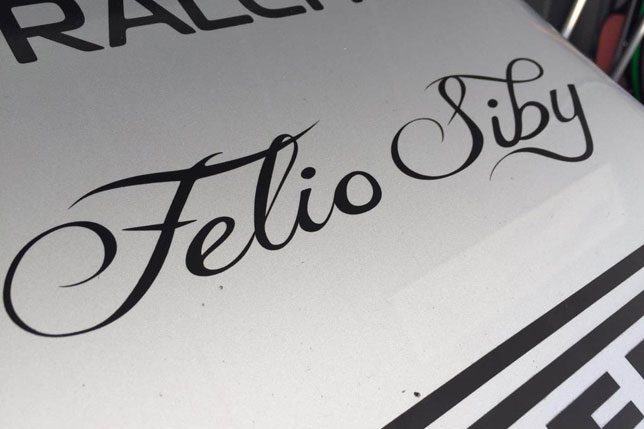 Логотип Felio Siby